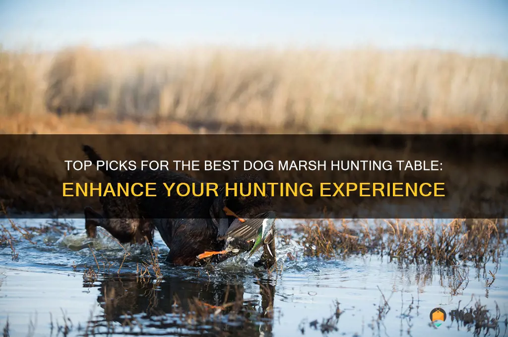 best dog marsh hunting table