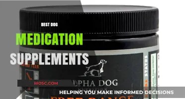 Top Dog Medication Supplements: Essential Health Boosters for Your Canine Companion
