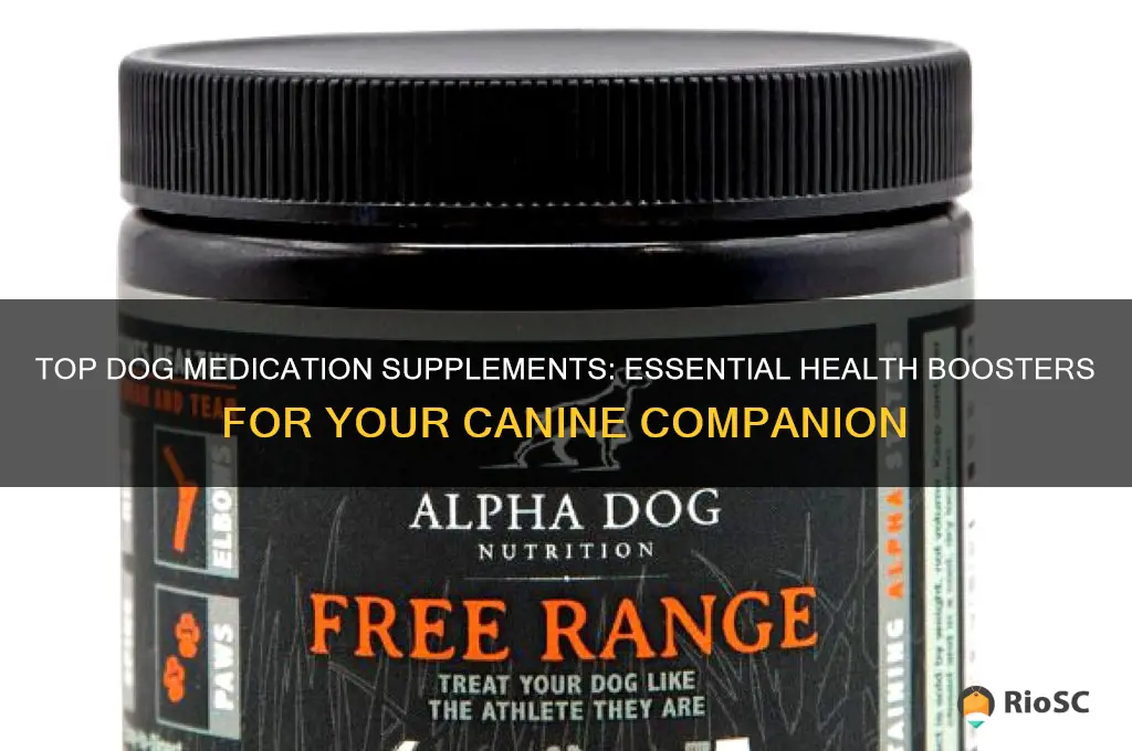 best dog medication supplements