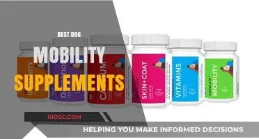 Top Dog Mobility Supplements to Keep Your Canine Companion Active and Healthy