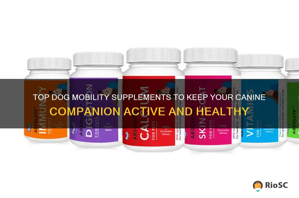 best dog mobility supplements