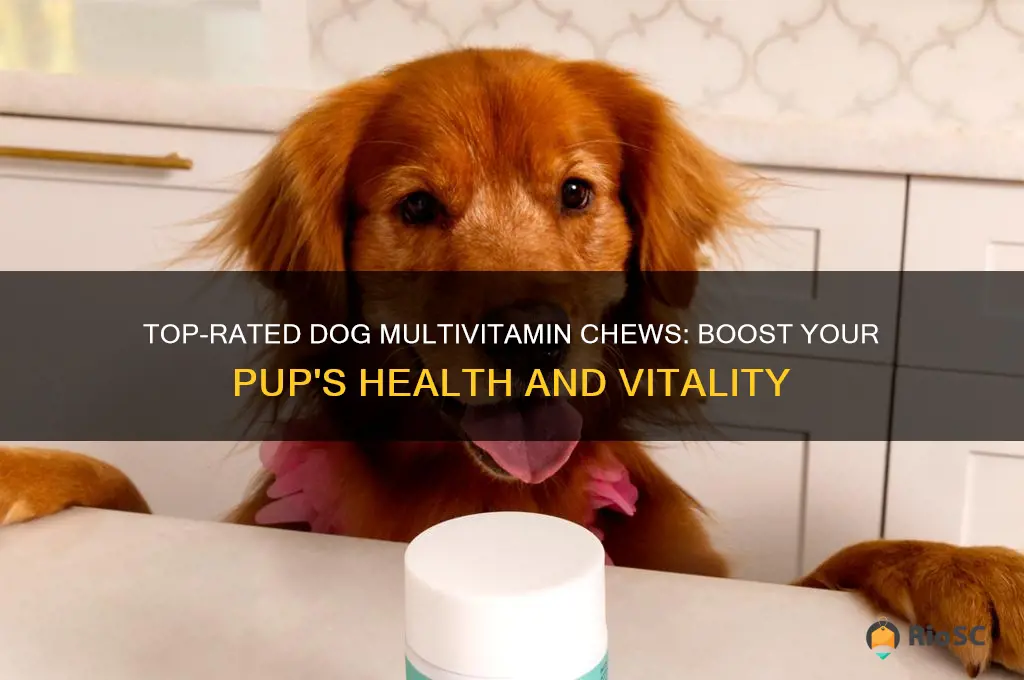 best dog multivitamin chews