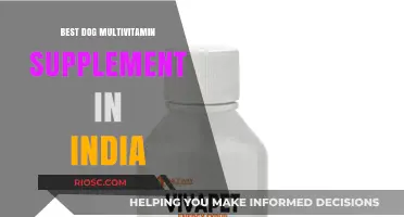 Top-Rated Dog Multivitamin Supplements in India: Boost Your Pet's Health and Vitality