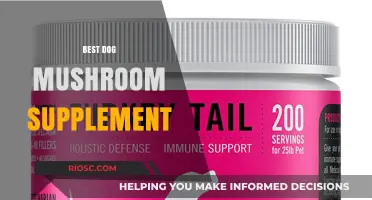 Unlock Your Dog's Health Potential: Discover the Best Mushroom Supplements for Canine Wellness