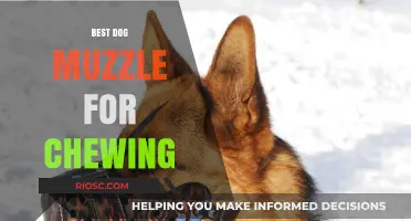 Top-Rated Dog Muzzles to Prevent Chewing: A Comprehensive Guide for Pet Owners