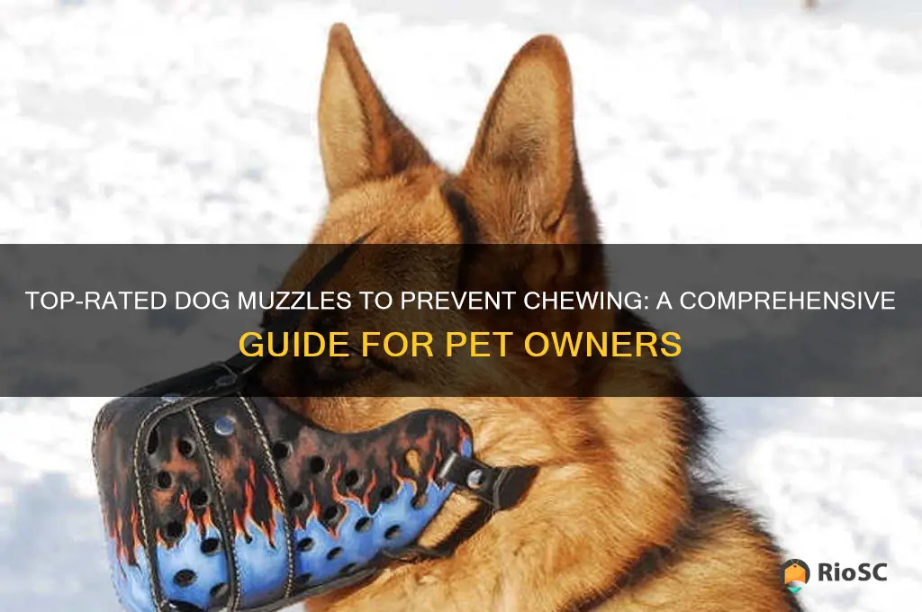 best dog muzzle for chewing