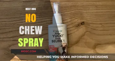 Effective Solutions: Top Dog No Chew Sprays to Protect Your Belongings