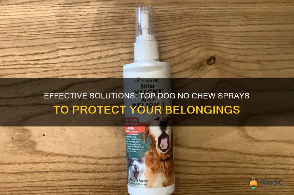 best dog no chew spray