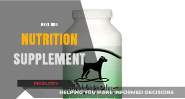 Unlock Your Dog's Optimal Health: Top Nutrition Supplements for a Happy, Energetic Pup