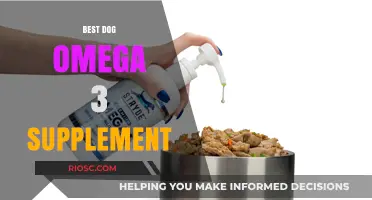 Top Omega-3 Supplements for Dogs: Boost Your Pet's Health and Vitality