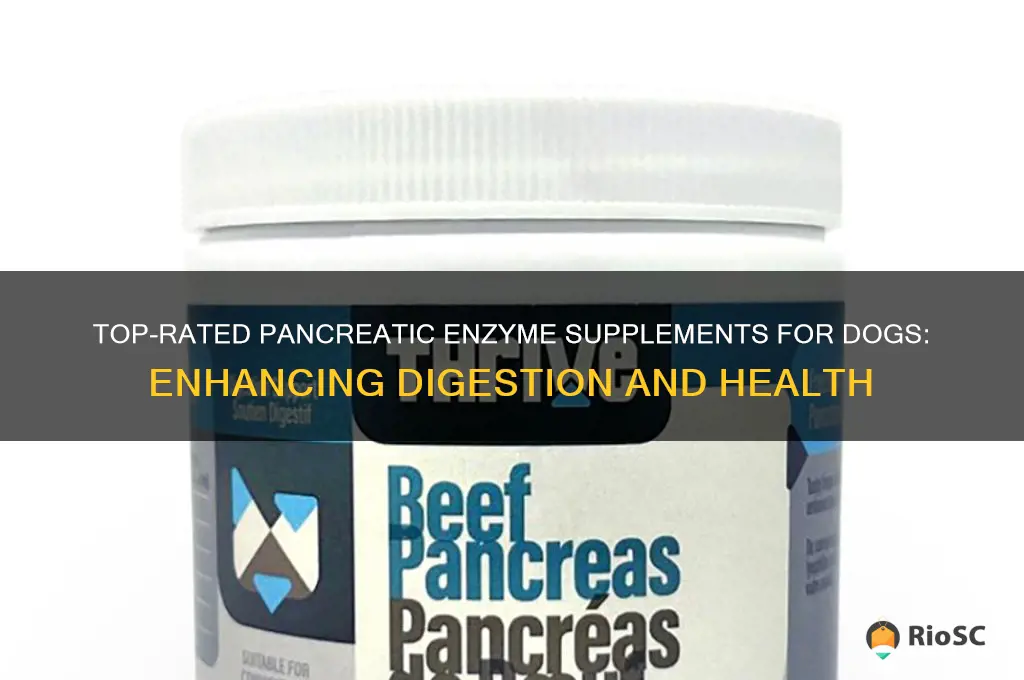 best dog pancreatic enzyme supplements