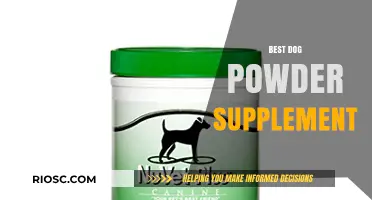 Top-Rated Dog Powder Supplements: Boost Your Pet's Health and Vitality