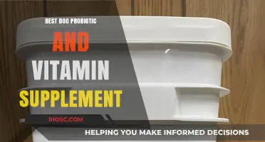 Top Dog Health Essentials: Best Probiotic and Vitamin Supplements for Optimal Canine Wellness