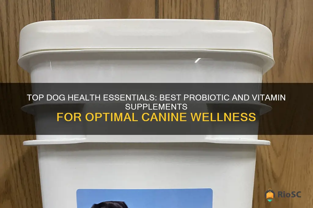 best dog probiotic and vitamin supplement
