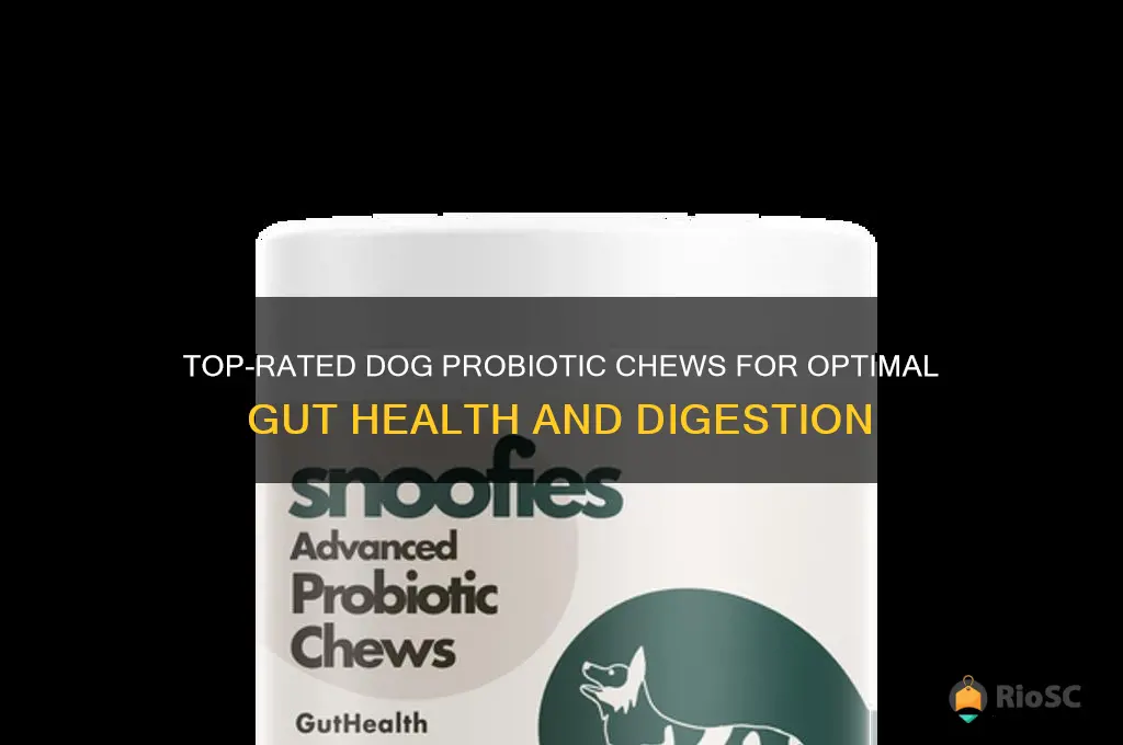 best dog probiotic chews