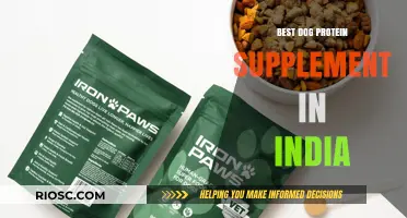 Top Dog Protein Supplements in India: Boost Your Pet's Health and Vitality