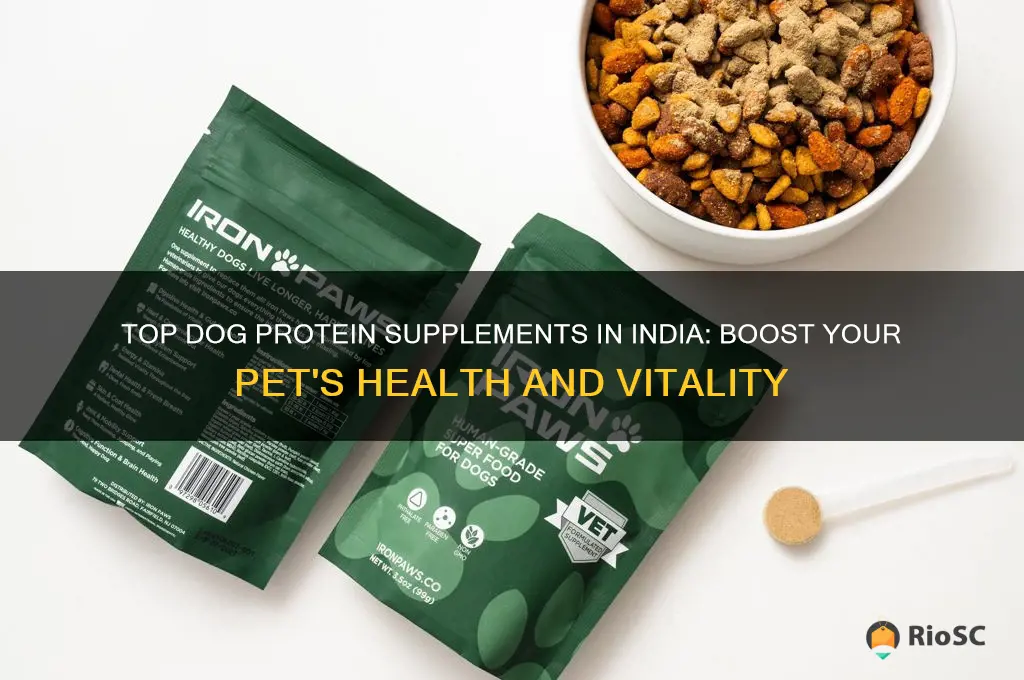 best dog protein supplement in india