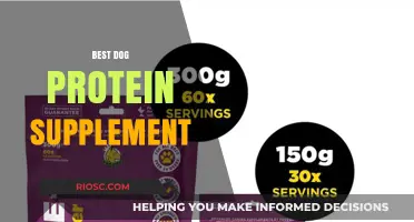 Top Dog Protein Supplements to Boost Your Pet's Health and Vitality