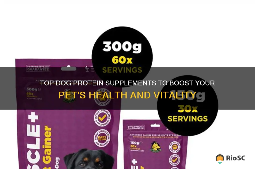 best dog protein supplement