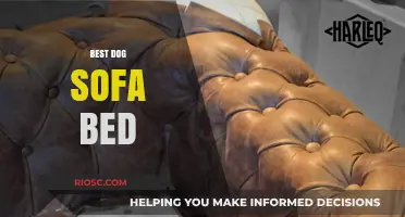 Luxury and Comfort: Finding the Perfect Dog Sofa Bed for Your Furry Friend
