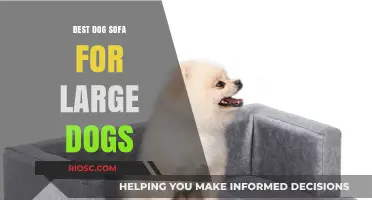 Luxury Lounging: Top Dog Sofas for Large Breeds to Relax in Style