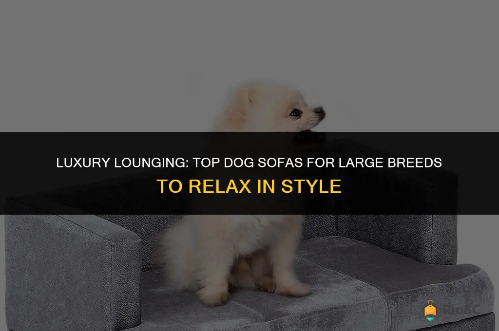 best dog sofa for large dogs
