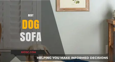 Luxury Lounging: The Ultimate Guide to Choosing the Best Dog Sofa for Your Furry Friend