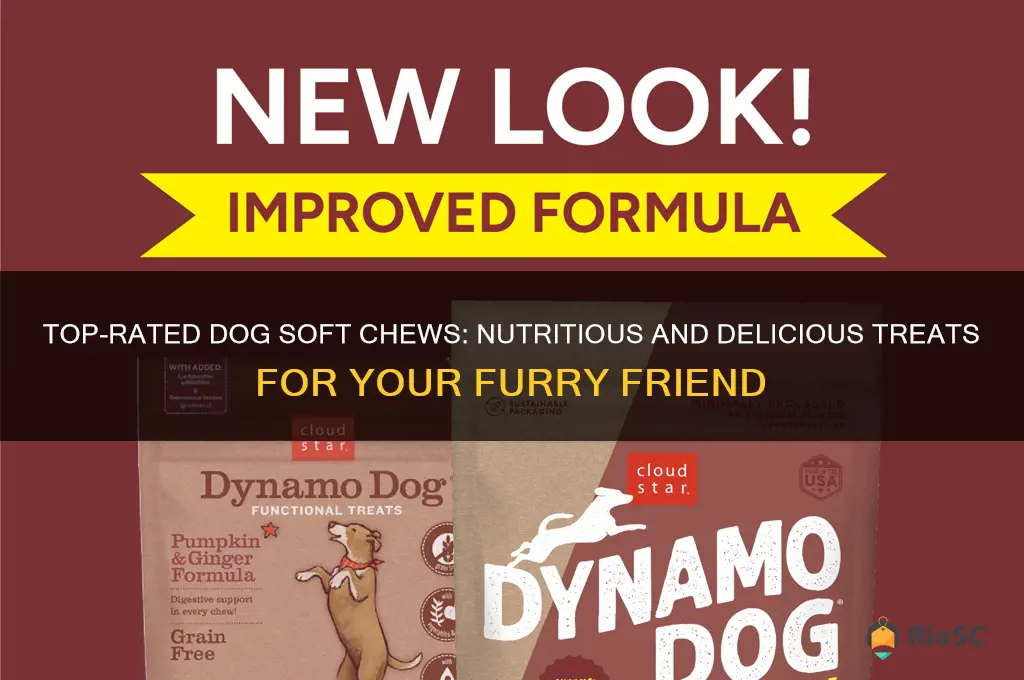 best dog soft chews
