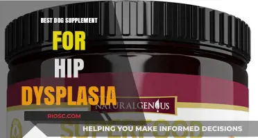 Natural Relief for Hip Dysplasia: Top Dog Supplements to Support Joint Health
