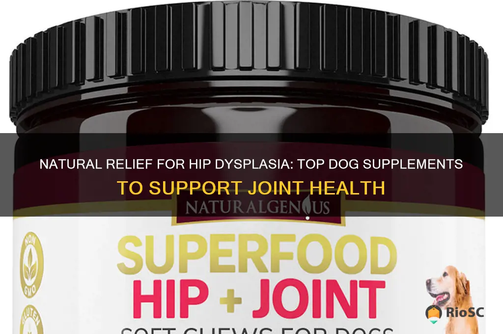 best dog supplement for hip dysplasia
