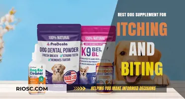 Soothing Solutions: Top Dog Supplements to Relieve Itching and Biting