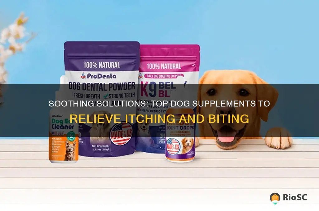 best dog supplement for itching and biting