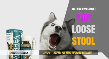 Effective Dog Supplements to Firm Up Loose Stools: Top Picks for Canine Digestive Health