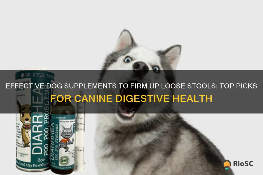 best dog supplement for loose stool
