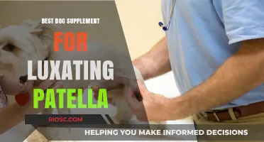 Top Dog Supplements to Support and Prevent Luxating Patella in Canines