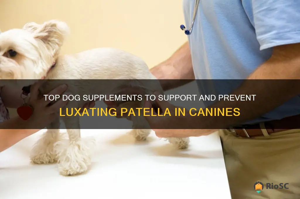 best dog supplement for luxating patella