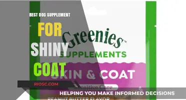 Unlock Your Dog's Radiant Glow: Top Supplements for a Shiny, Healthy Coat