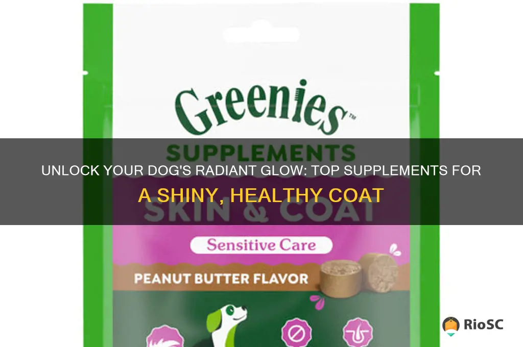 best dog supplement for shiny coat