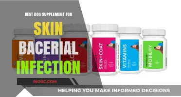 Effective Dog Supplements to Combat Skin Bacterial Infections: Top Picks for Healthy Skin