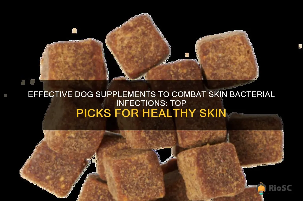 best dog supplement for skin bacerial infection