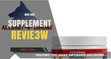 Top Dog Supplements Reviewed: Boost Your Pet's Health and Vitality