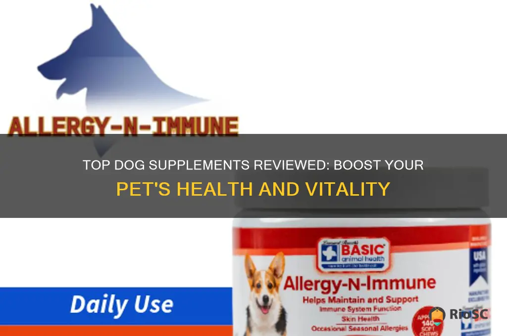 best dog supplement revie3w