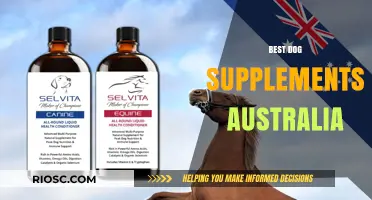 Top Dog Supplements in Australia: Boost Your Pet's Health and Vitality