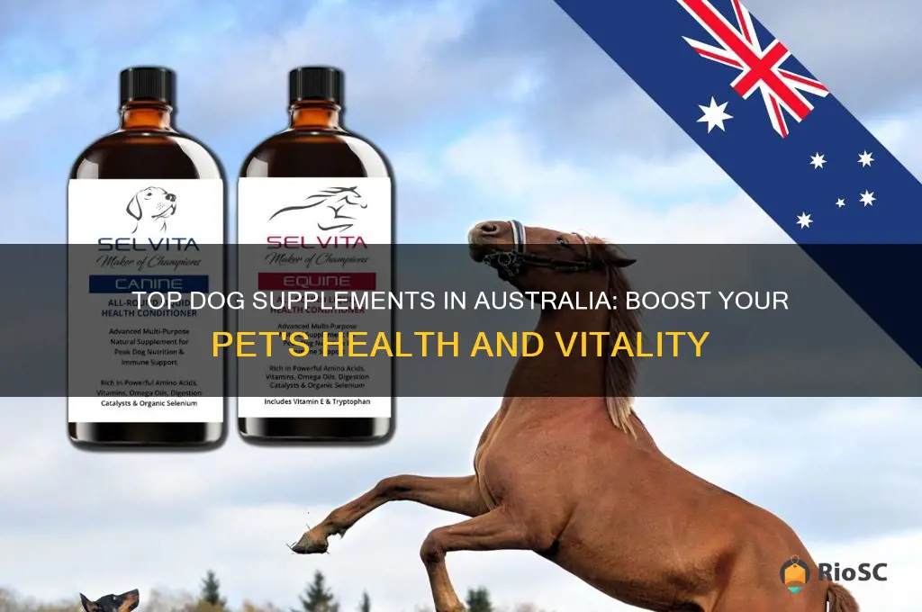 best dog supplements australia