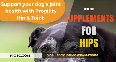 Top Hip Health Supplements for Dogs: Enhance Mobility and Joint Strength