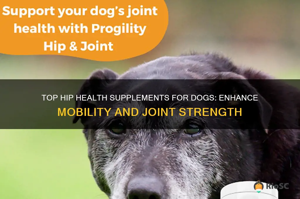 best dog supplements for hips