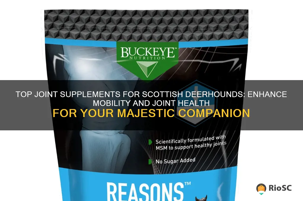 best dog supplements for joint scottish deerhound