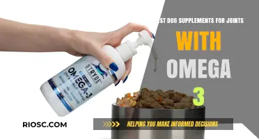 Omega-3 Rich Joint Supplements: Top Picks for Your Dog's Mobility and Health