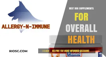 Essential Dog Supplements for Optimal Health: Boosting Your Canine's Well-Being