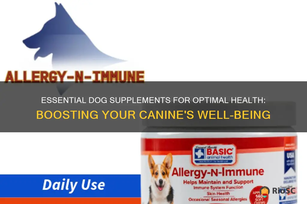 best dog supplements for overall health